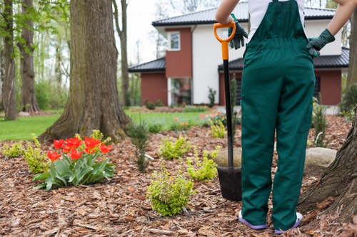 Choosing a reliable lawn mowing service in Wimbledon