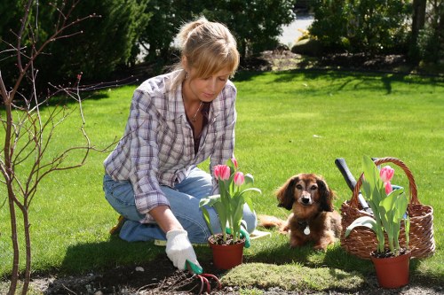 Garden maintenance crew working in a suburban Wimbledon backyard