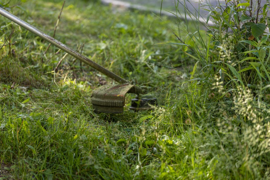 A close-up view of a garden scene on a bright day, featuring a worn metal hand rake with a long wooden handle resting on the uneven soil and grass. Surrounding the rake, there are lush green plants, i