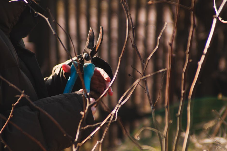 A close-up view of a garden scene on a bright day, featuring a worn metal hand rake with a long wooden handle resting on the uneven soil and grass. Surrounding the rake, there are lush green plants, i