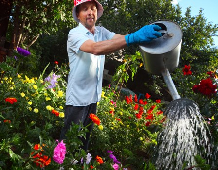 A man in a light blue shirt, wearing a red hat and blue gardening gloves, is watering a vibrant garden with a silver metal watering can. The garden features a variety of flowering plants, including red, yellow, purple, and pink blossoms, as well as green shrubbery and foliage. In the background, there are trees with dense green leaves providing a shaded canopy. The ground appears to be composed of soil and grass, with some neatly maintained flower beds bordering the area. The scene suggests a well-kept outdoor space, possibly part of a residential garden or a professional landscaping project in Wimbledon, illuminated by natural daylight under clear weather conditions. This image aligns with gardening and outdoor maintenance services offered by Gardener Wimbledon, emphasizing attentive garden care and cultivation.